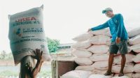 Investasi_Raksasa_Pupuk_Indonesia_Revitalisasi_Pabrik_Rp_116_Triliun
