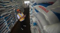 Pupuk_Nasional_Aman_Stok_Melimpah_16_Juta_Ton_Petani_Tenang