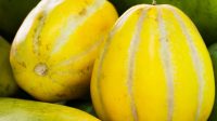 Tujuh_Manfaat_Menakjubkan_Buah_Blewah_untuk_Kesehatan_Tubuh_Anda