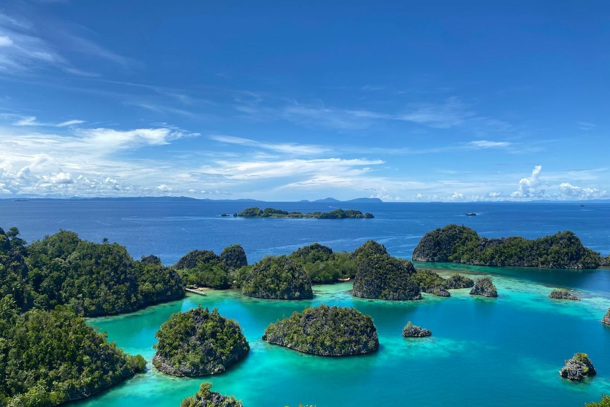 Ancaman Tambang Nikel: Raja Ampat Terancam Rusak?