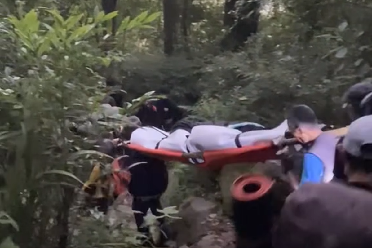 Misteri Pendaki Gunung Gede Pangrango: Hipotermia Penyebab Kematian?