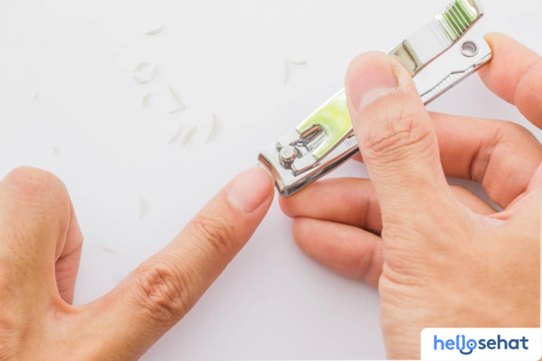 Rahasia_Kuku_Sehat__Bersih_7_Teknik_Pemotongan_Tepat Rahasia Kuku Sehat & Bersih: 7 Teknik Pemotongan Tepat